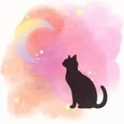 ねこまる@値下げ中の画像