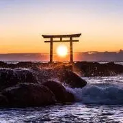 まーにゃんの画像