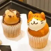 yuriの画像