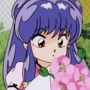 マルの画像