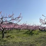 なぽり【まとめ買い歓迎】の画像