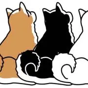 まいぱんこの画像