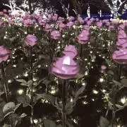 ゆなの画像