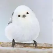 シマエナガの画像