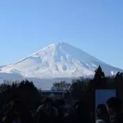 はなまるの画像