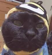 爽玖麻