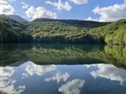 naokinの画像