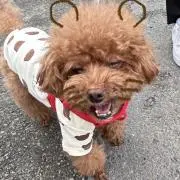 ♡の画像