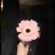 やきのり プロフ確認お願いしますの画像