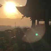 ベジトレイン