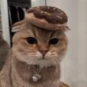 mの画像