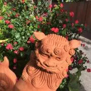 Yosの画像