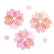 さくらの画像
