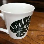 はるの画像
