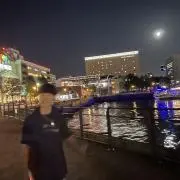 ‼️の画像