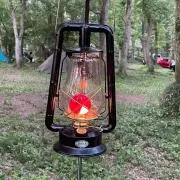 Noriの画像