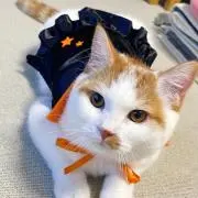おむぎの画像