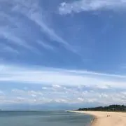 ⬛️⬛️プロフィールを必ず確認⬛️⬛️の画像