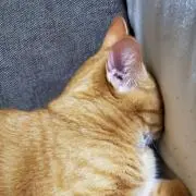 み。の画像