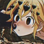 美扇