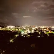 しらすの画像