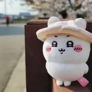 ジョンの画像
