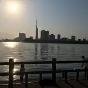 めんたいこの画像