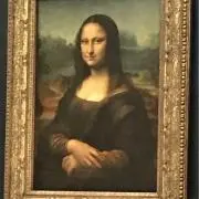 トンコの画像
