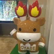 める吉