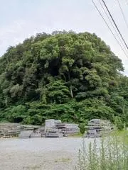 すずらんの画像
