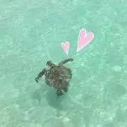 ♡a_a♡