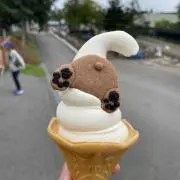 meruの画像