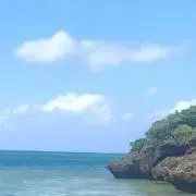 ちーこ※基本平日発送の画像