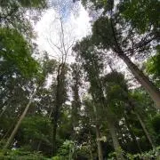 matiの画像