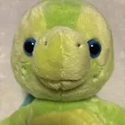 かめの画像