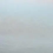 わた　24日以降の発送の画像