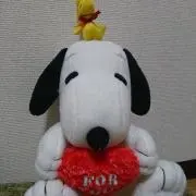 ゆピーの画像