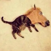 やんやん