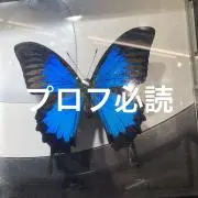 村崎蝶の画像