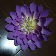 ★★Tの画像