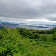 カズーの画像