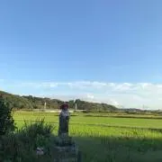 かなぶん