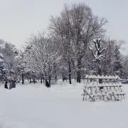 doの画像