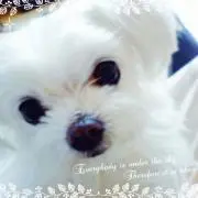 Yuko♡a-nyaプロフ必見の画像
