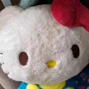 hsna36の画像