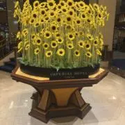 なつの画像