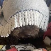 こっちゃん    プロフ必読の画像