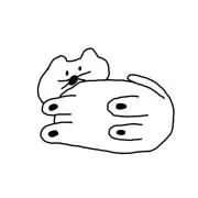 zの画像