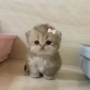 yu❤︎.*の画像