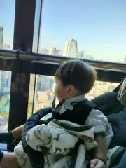 とむの画像